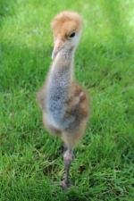 Yellow Blue Black - 12th May 2014 Yellow Blue Black - 12th May 2014